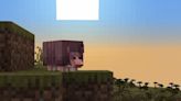 Minecraft Update Adds Armadillos and More