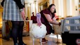 Biden celebrates his 81st birthday pardoning Thanksgiving turkeys