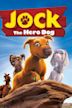 Jock the Hero Dog