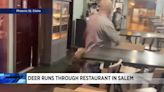 Watch: Deer crashes through Virginia seafood restaurant