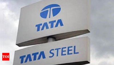 Tata Steel to infuse Rs 6,000 crore in Neelachal, PSU bought in 2022 - Times of India