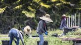 La campaña "¡Que calor!" logra un hito para los trabajadores al aire libre de Miami-Dade