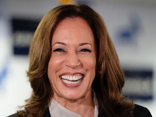 Kamala Harris se prepara para liderar a demócratas en 2024; hay lecciones de su candidatura de 2020