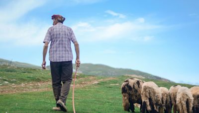 Escribir de tierra y Tierra: la ‘liternatura’ de Javier Morales