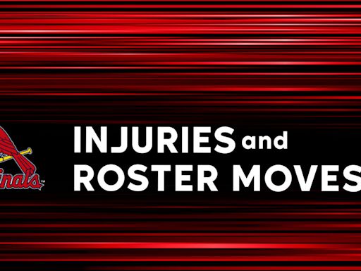 Injuries & Moves: No. 9 prospect Graceffo returns for DH