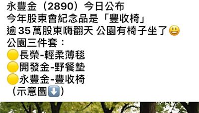 股東紀念品"開發金野餐墊.永豐金豐收椅" 網笑:公園套組