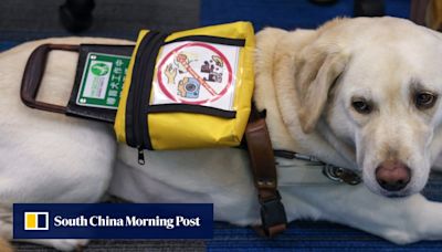 Hong Kong issues guidelines to make guide dogs more accepted