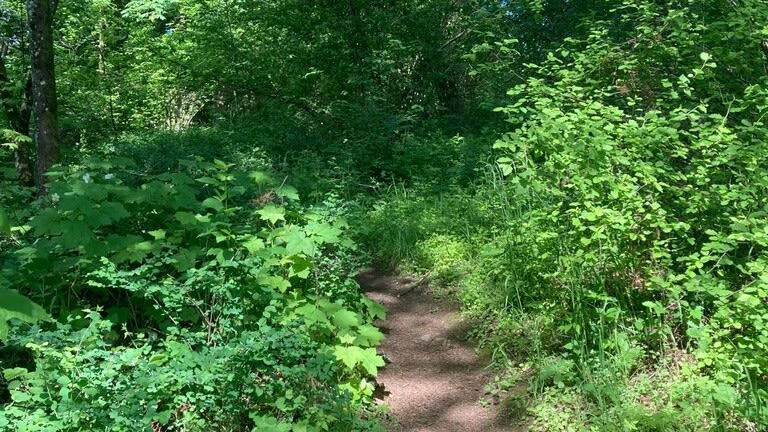 Portland’s Kelly Butte Natural Area to undergo $2.56 million renovation