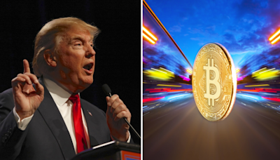 Economists Skeptical About Trump's Bitcoin Stockpile Plan: A Game-Changer Or A Mere Election Gimmick?