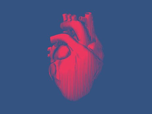 BiVACOR wins IDE to start first-in-human study for artificial heart