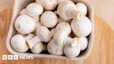 Northway Mushrooms: Co Tyrone firm enters administration