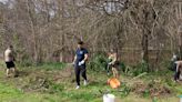 Volunteers lead massive cleanup effort at Norfolk’s Lafayette Park