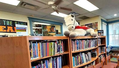 New Mexico lawmakers pass on full funding for rural libraries