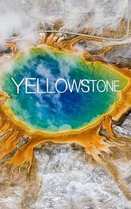 Yellowstone