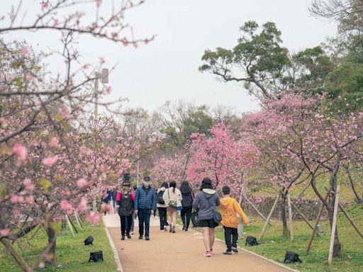 不是內灣老街！「新竹最強景點」狂吸228萬人 遊客大推：值得一遊