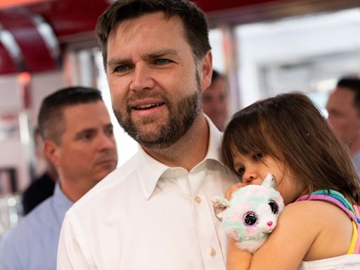 Here Are All Of JD Vance's Put-Downs Of Childless Americans