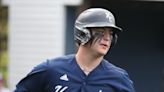 Baseball: Vote now for lohud Player of the Week (May 13-19)