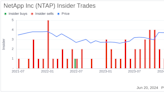 NetApp Inc (NTAP) CEO George Kurian Sells 8,500 Shares