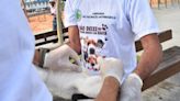 Projeto torna obrigatória vacinação de animais domésticos - Imirante.com