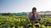 Youth African Agritech Innovators Receive $1.5M Investment To Accelerate Agriculture Across Africa
