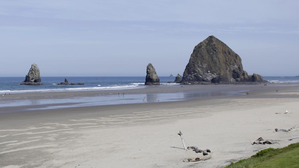 Sand dollar-sized tar pieces found on Oregon Coast, southern Washington