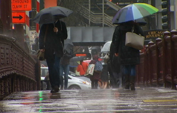 Chicago forecast: Showers, storms bringing 'torrential downpours' on the way