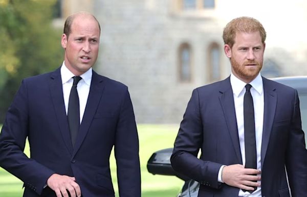 Prince William Plans For Prince Harry After He Takes The Throne REVEALED!