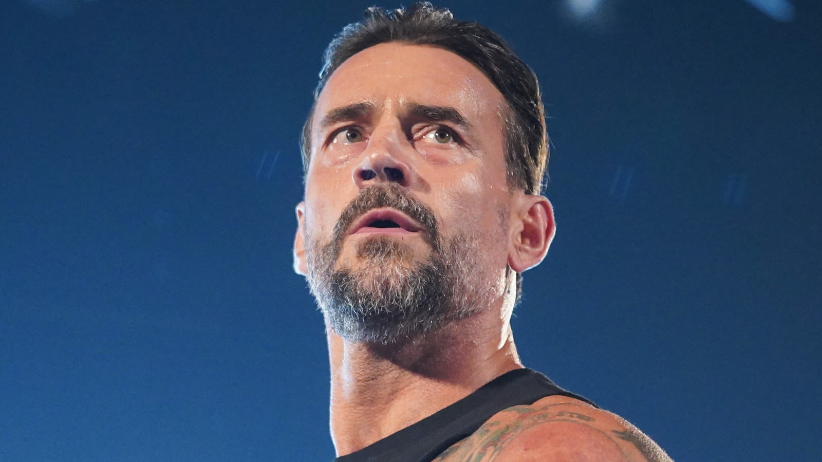 Video: WWE Releases Behind-The-Scenes CM Punk Vlog For SummerSlam 2024 - Wrestling Inc.