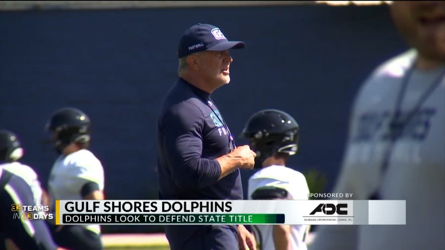 33 Teams in 33 Days: Gulf Shores Dolphins