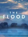 The Flood