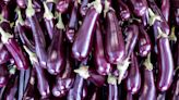 6 eggplant growing mistakes to avoid for tastier aubergine harvests