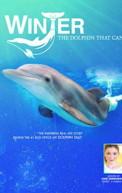 Winter, the Dolphin That Can