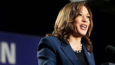 Wall Street Donors Plan Get-Rich-Quick Ideas for Harris’s Bid