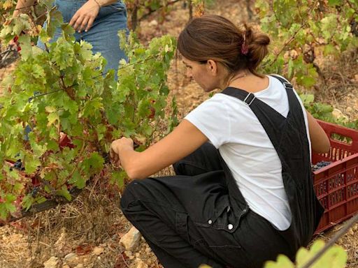 Amid Global Challenges, Lebanon’s Women Winemakers Continue to Persevere