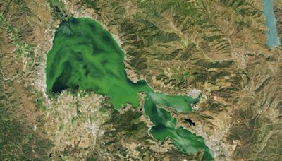 Images shows massive algae bloom covering Clear Lake