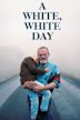 A White, White Day