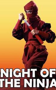 Night of the Ninja