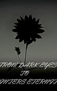 From Dark Eyes to Winter's Eternity | Drama