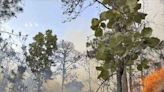 La Jornada: Guadalajara y alrededores, en crisis ambiental por incendios