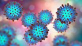 West Virginia Department of Health announces successful containment of measles case in West Virginia