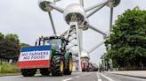 EU farmers protest green policies ahead of parliamentary elections