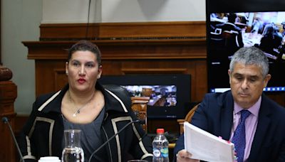 Defensas alegan en la Corte de Apelaciones para revocar prisión preventiva de Hermosilla y Villalobos - La Tercera