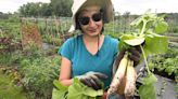 Detroit's urban farming begets suburban gardening