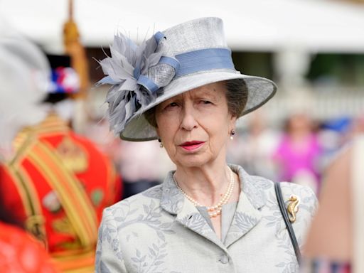 King Charles III's sister Anne released from hospital after horse accident