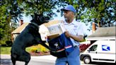 U.S. Postal Service names worst cities for dog bites; here's where Columbus ranked
