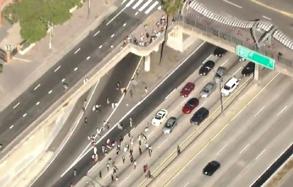 Pro-Palestinian protesters shut down 101 Freeway in downtown L.A.