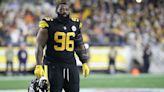 Report: Former Steelers DT Accused of Animal Cruelty