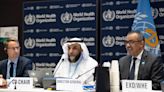 Eighth meeting of the Working Group on Amendments to the International Health Regulations (2005) – resumed