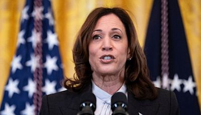 WATCH: 'Clueless' Kamala Harris Shouts 'Shrimp and Grits' When Asked About Hamas Ceasefire Deal in Gaza