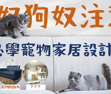 【Pet-Friendly家居設計】貓奴狗奴注意！5大必知寵物家居設計重點！